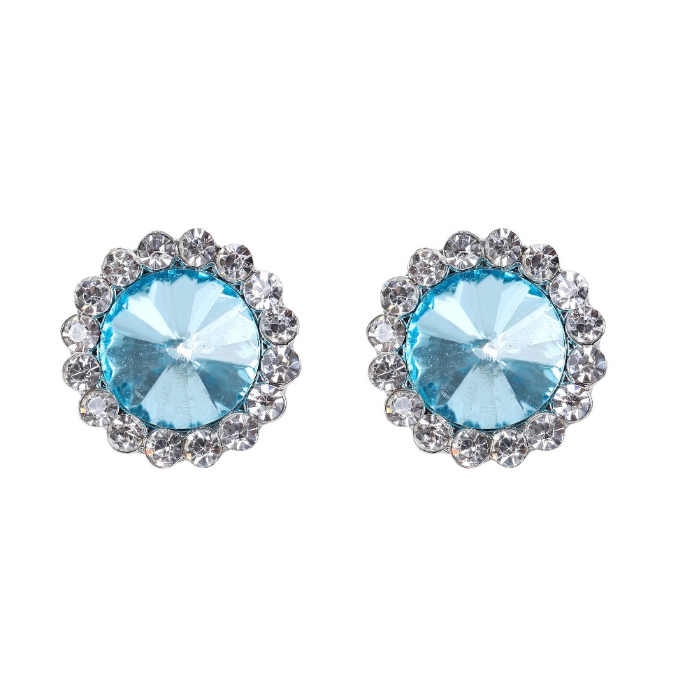 Crystal Bling post Earrings